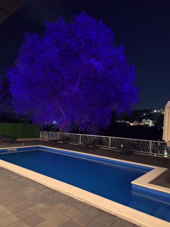 Pogled na dvorište i drvo