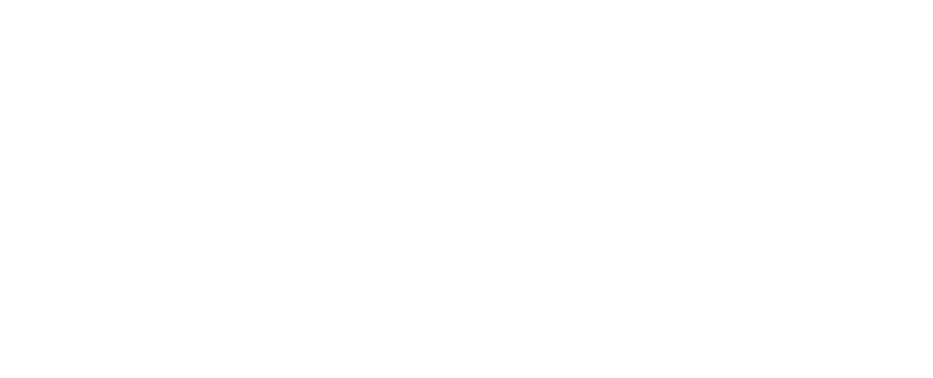 Vila Lara logo